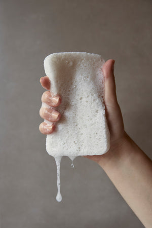 chalk sponges