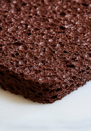 chocolate sponges