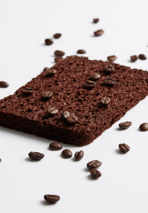 chocolate sponges