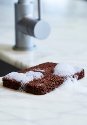 chocolate sponges