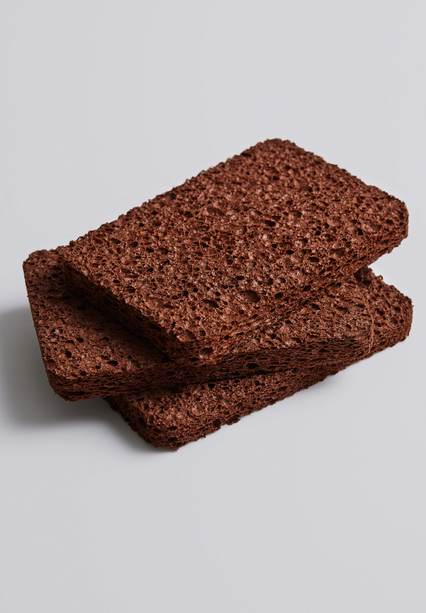 chocolate sponges