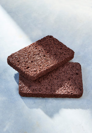 chocolate sponges
