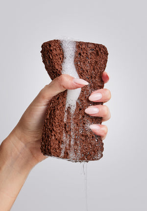 chocolate sponges